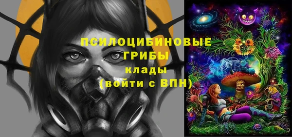 эйфоретик Алексин