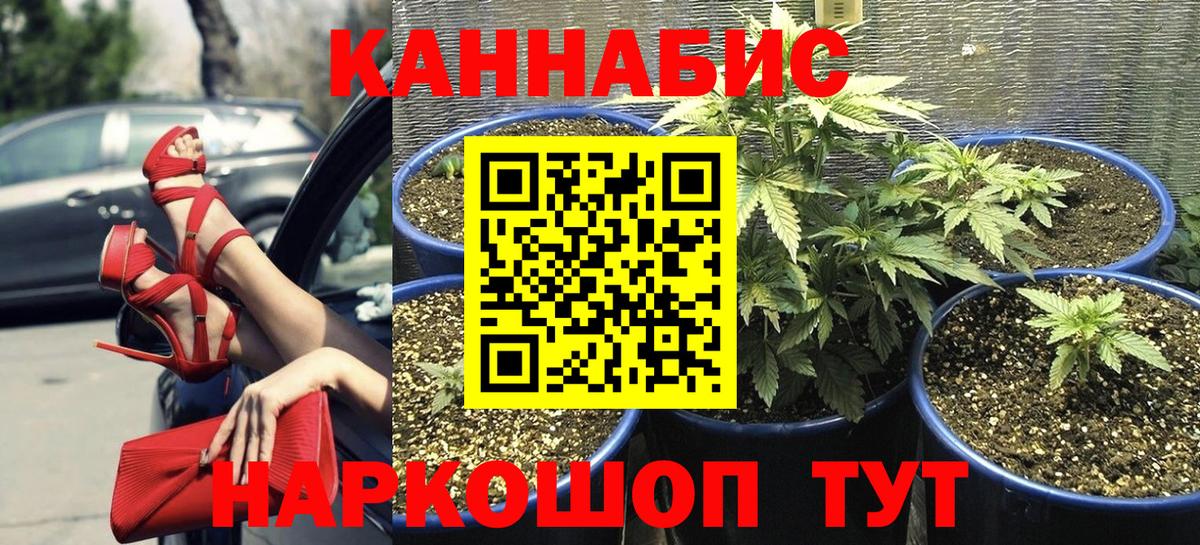 Каннабис VHQ Санкт-Петербург
